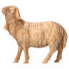 BE Schaf geradeaus schauend mit Glocke - natur - Zirbel - 10 cm