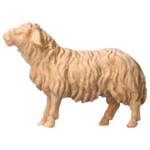 MO Sheep looking forward - natural - swiss pine wood - 10 cm