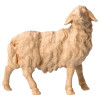MO Sheep looking rightward - natural - swiss pine wood - 10 cm