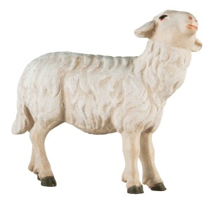 Sheep left of the Shepherd