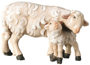 Sheep with lamb standing