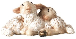 Couple of lambs lying