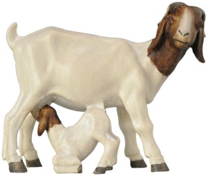 Boer goat with fawn