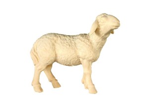 Schaf Kopf hoch - natur - 12 cm