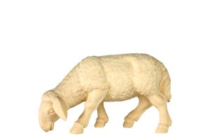 Schaf grasend - natur - 12 cm