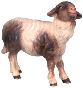Schaf mit schwarzen Flecken