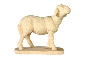 Sheep standing baroque crib - natural - 13 cm