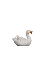 MA Duck swimming right