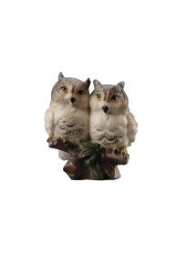 Pair of owl