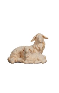 ZI Sheep lying with lamb