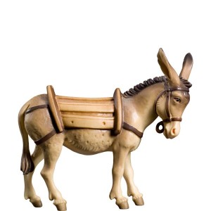 O-Pack-mule (C)