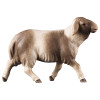 CO Running sheep blotched brown