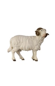 HE Ram looking right - color - 8 cm