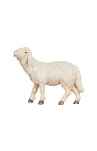 HE Sheep eating head up - color - 8 cm