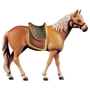 Horse Haflinger with saddle