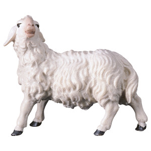 PA Sheep looking leftward - color - 12 cm