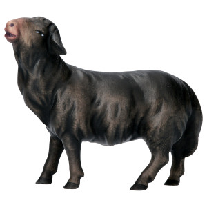 KO Schaf geradeaus schauend schwarz - bemalt - 16 cm