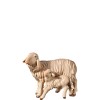 H-Schaf und Lamm stehend