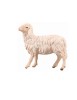 IN Sheep looking left - color - 14 cm