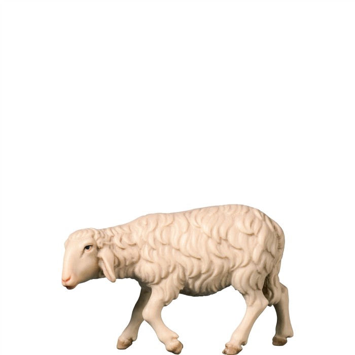 H-Schaf gehend