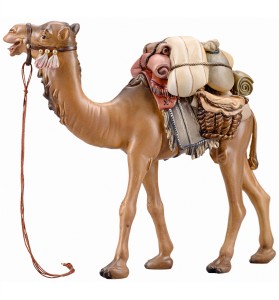 IN Camello con bagagli