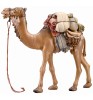 IN Kamel mit Gepäck