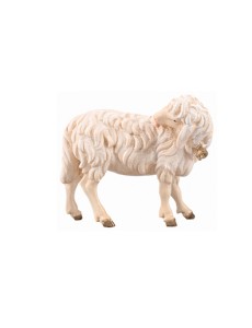 IN Schaf leckend mit Glocke - bemalt - 12 cm