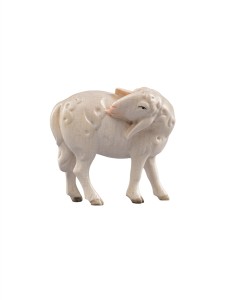 LI Sheep lecking - color - 12 cm