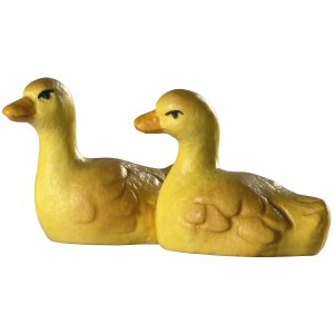 Duckboys in two