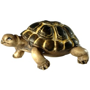 Tortoise - color - 1,0 cm (08-09)