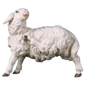 UL Rasping sheep - color - 10 cm