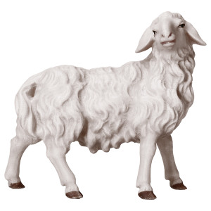 UL Sheep looking rightward - color - 12 cm