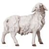UL Sheep looking rightward - color - 15 cm