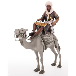 Camel rider