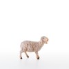 Sheep standing (without pedestal)