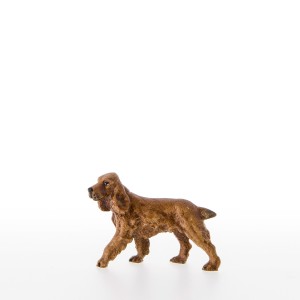 Cockerspaniel