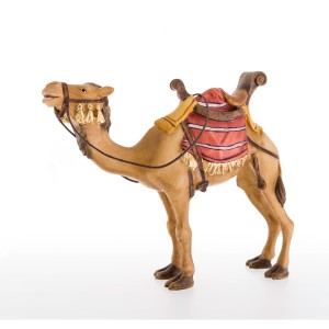 Camel