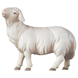 KO Schaf geradeaus schauend - bemalt - 10 cm