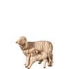 A-Sheep and lamb standing
