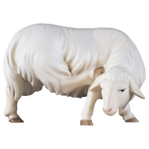 CO Rasping sheep - color - 16 cm