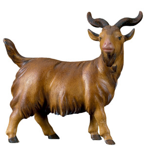 CO He-Goat - color - 10 cm