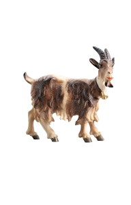 RA Goat with bell looking right