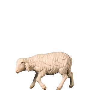 A-Walking sheep