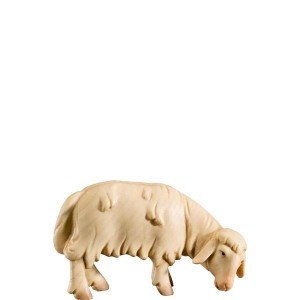 N-Sheep grazing - color - 11 cm