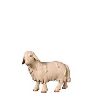 N-Schaf schauend - mehrtönig gebeizt - 11 cm