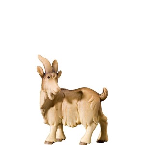 N-Goat looking backwards - color - 11 cm