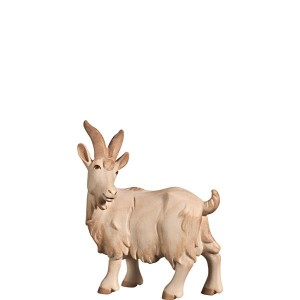 N-Goat looking backwards - stained 2 shades - 13,5 cm