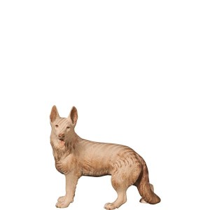 N-Schäferhund - mehrtönig gebeizt - 13,5 cm