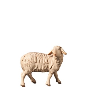 H-Schaf zurückschauend - bemalt - 8 cm