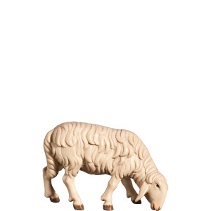 H-Schaf grasend rechts - bemalt - 12,5 cm